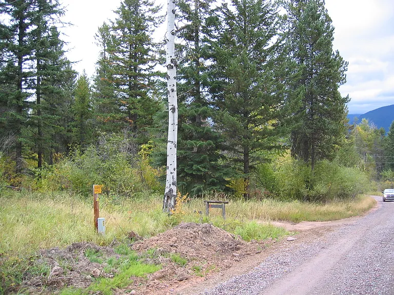 1031 Grizzly Mountain Rd — Photo 5
