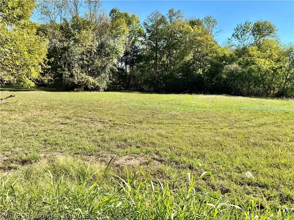 Carter Ave, Mulberry, AR 72947