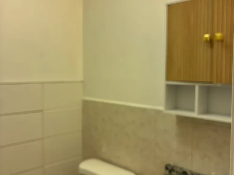 409 Halsey St #1 — Photo 5
