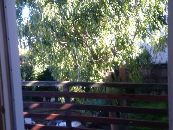 Big Deck