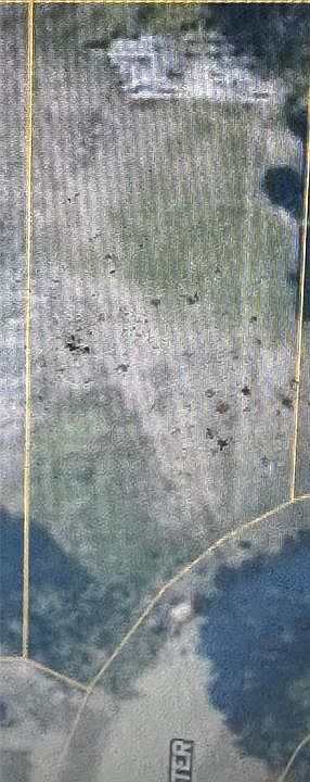 1st image of N Baines Ter Lot 50