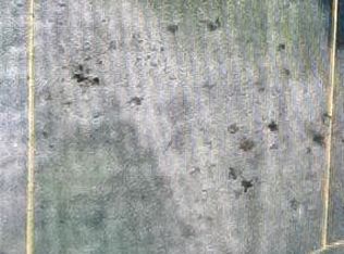 N Baines Ter LOT 50, Pahokee, FL 33476