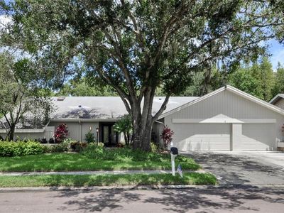 13720 Walbrooke Dr, Tampa, FL, 33624