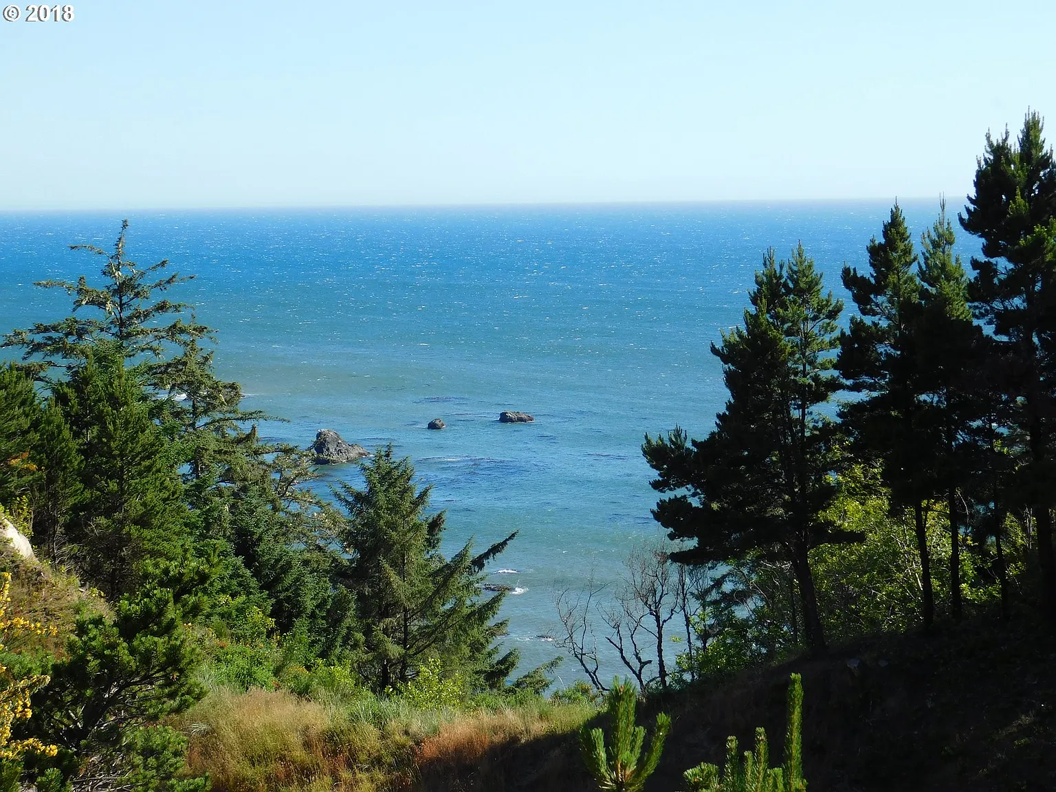 Hwy 101 photo 1