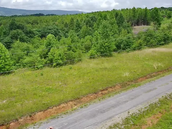 0 Tower Rd, Grandview, TN 37337