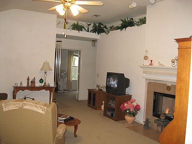 living room plant ledge