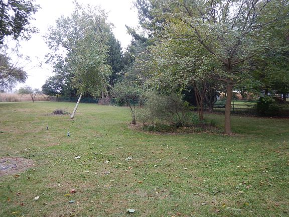 backyard facing east