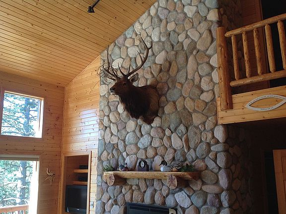 Main Floor Fireplace