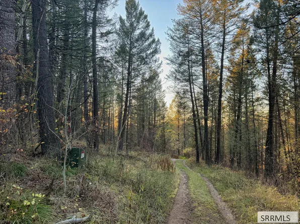 185 W 12250 N, Tetonia, ID 83452