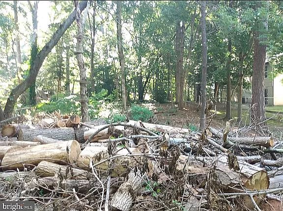 5th image of 12960 Huron Dr