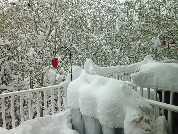 4th image of 909 Vernon Dr