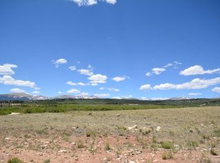 167 Silverheels Rd, Fairplay, CO 80440