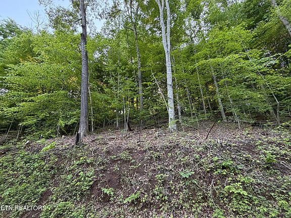 3rd image of Lots A&b Alder Springs Rd