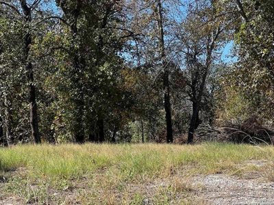 267 267 County Road 6861 LOT 40, Natalia, TX, 78059