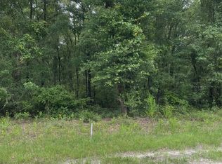 NE Park Ave, Mayo, FL 32066