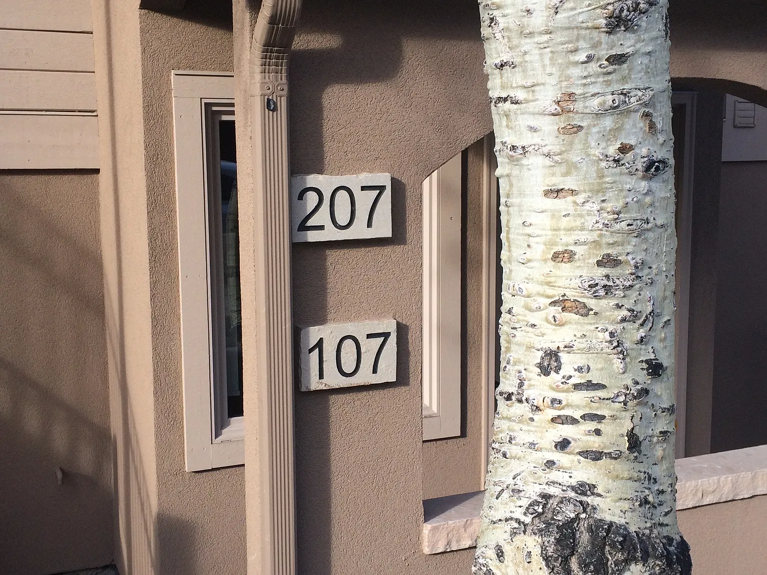 2 bed, 1180 sqft, $4,500 — Photo 2