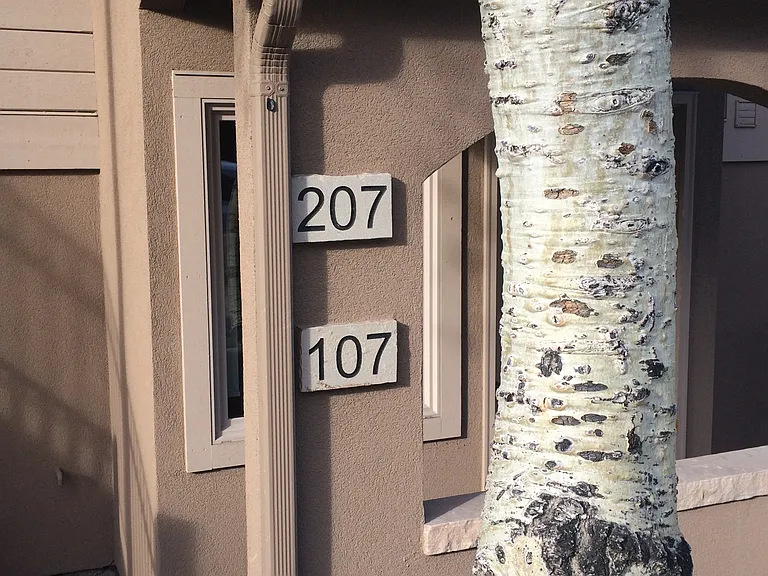 4192 Spruce Way #207 — Photo 2