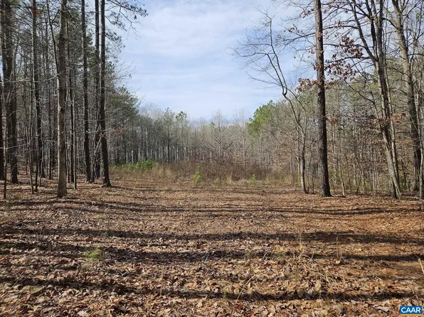 Scotts Bottom Rd, Dillwyn, VA 23936
