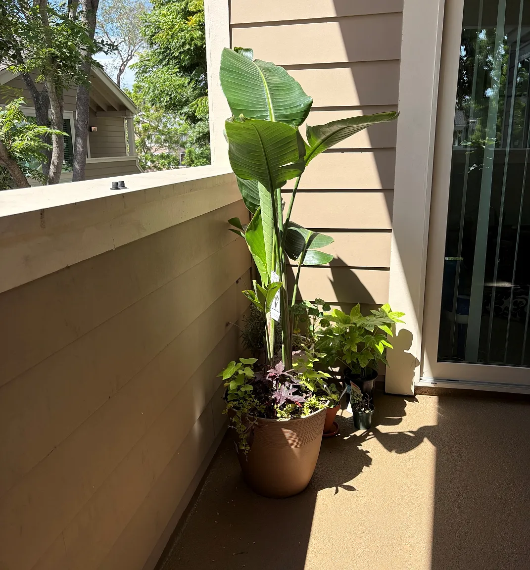 Roosevelt, Irvine — Photo 4