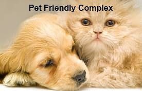 Pet friendly complex