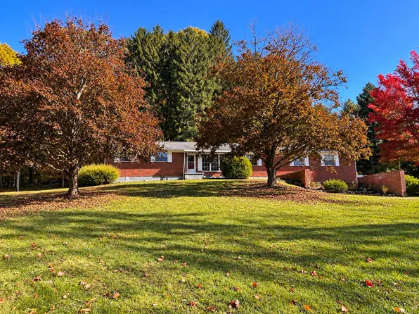 3735 Canvas Nettie Rd, Summersville, WV 26651
