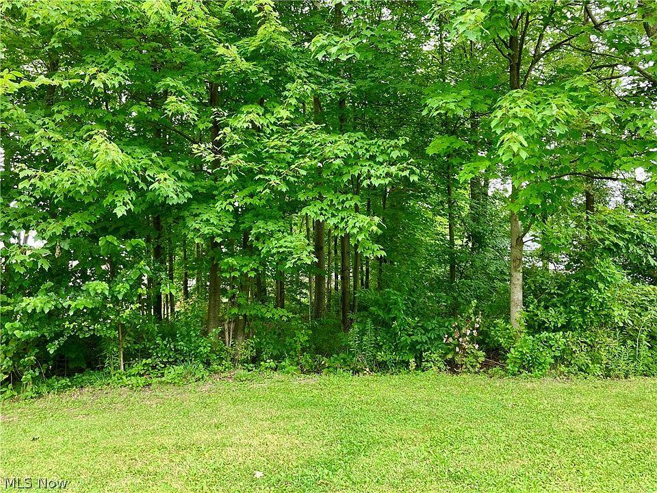 1st image of McDonald Ave