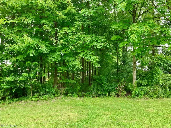 McDonald Ave, Mc Donald, OH 44437