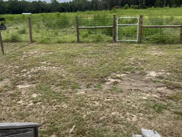 Buddy Gilley Rd — Photo 11