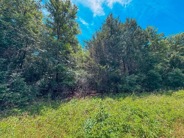 An County Rd #2608, Tennessee Colony, TX 75861