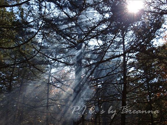 5th image of W Old Barclay Creek Ln