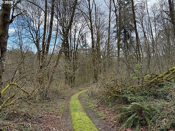 5th image of Tide Creek Rd