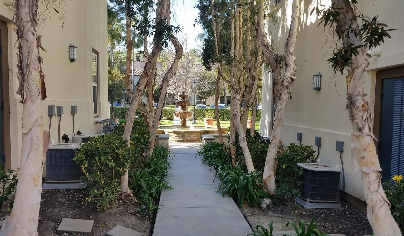 1 bed, 1.5 bath, 1054 sqft, $2,525 — Photo 3