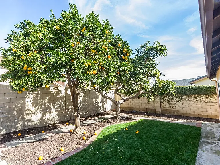 966 Goldenrod Dr — Photo 13
