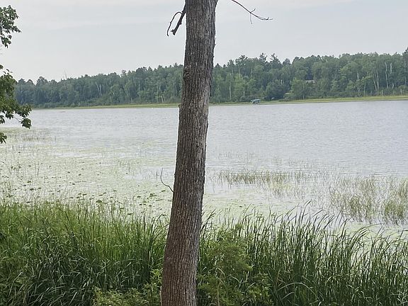 2nd image of Wolf Ridge Dr