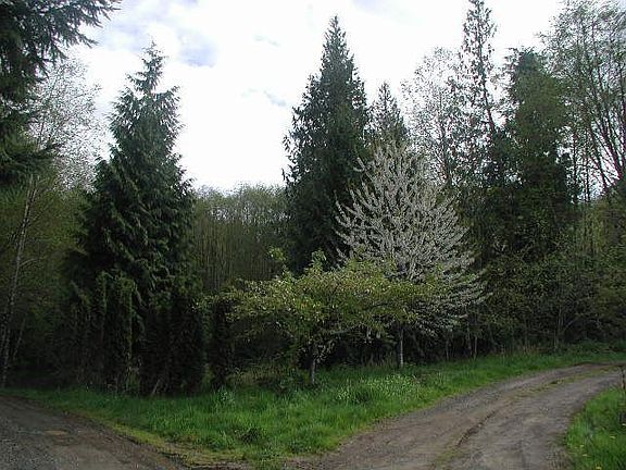 Private Drive