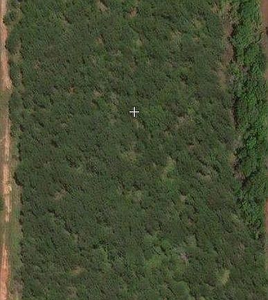 2nd image of 27 White Oak