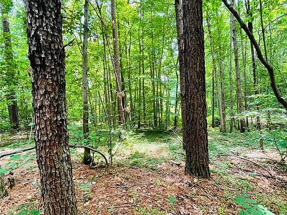 3rd image of 0 Twin Creeks Dr #61