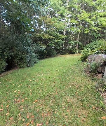 Back Yard - right