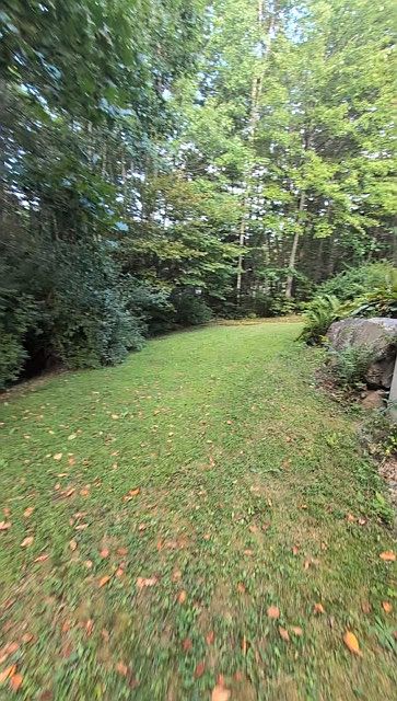 Back Yard - right