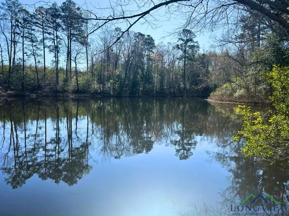 Easement Rd, Linden, TX 75563