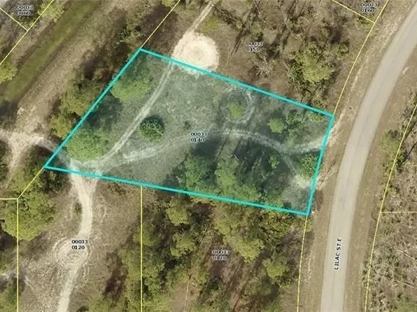 1041 Lilac St E, Lehigh Acres, FL 33974