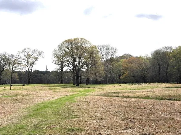 Johnnie Doolittle Rd, Robeline, LA 71469