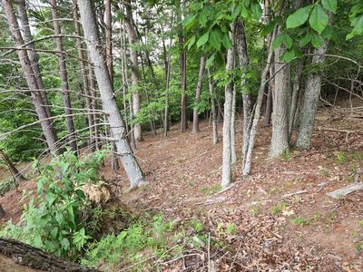 Tbd Birch Ave, Buena Vista, VA, 24416
