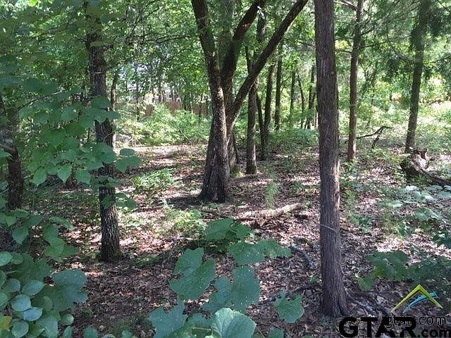 1st image of LOT 19 County Road 2307