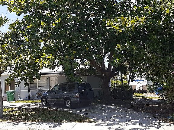 Huge Almond tree