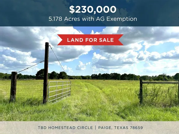 Homestead Cir, Paige, TX 78659