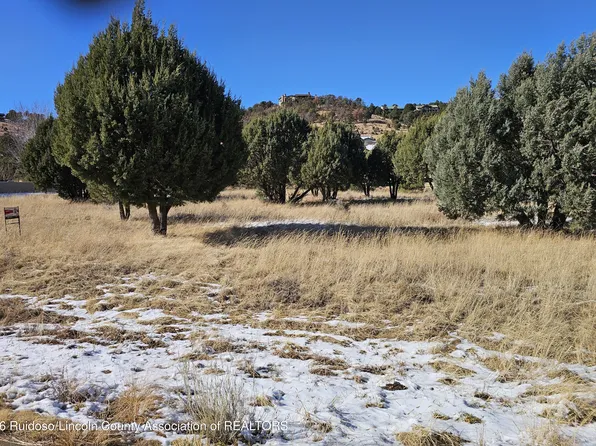 51 Deer Valley Dr #1, Alto, NM 88312
