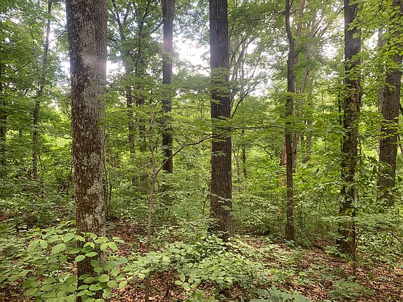 3rd image of 321 Thompson Hollow Rd Lot Wp001
