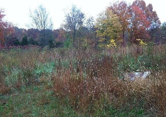 2nd image of 260 Harris Ln