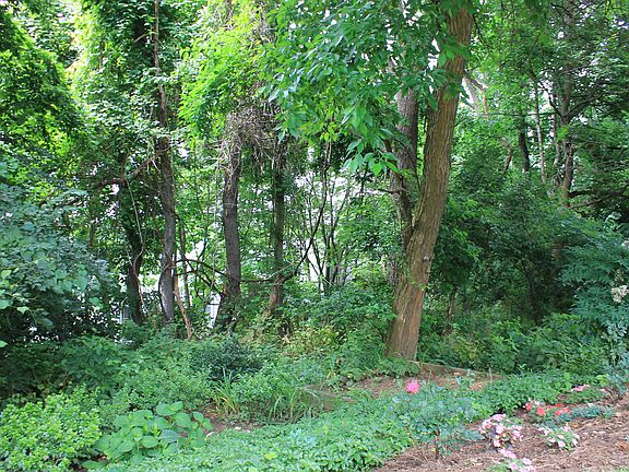 rear back up to woods